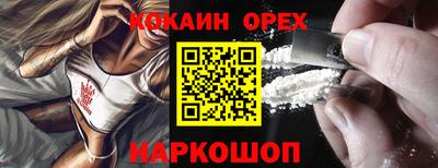 кокс Гатчина