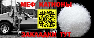 кокс Гатчина