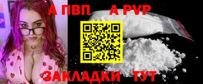 кокс Гатчина
