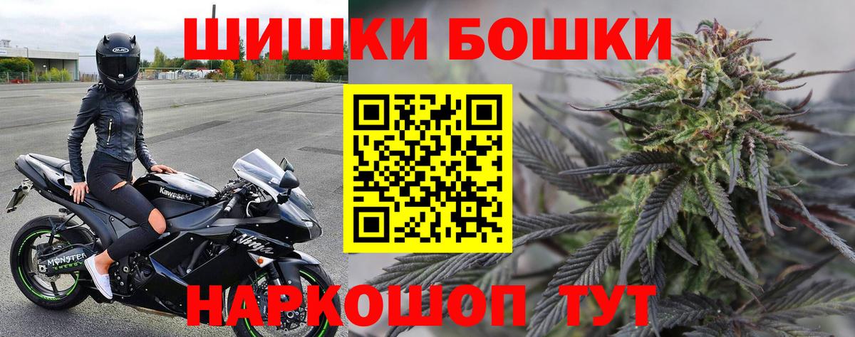 Марихуана сатива Славгород